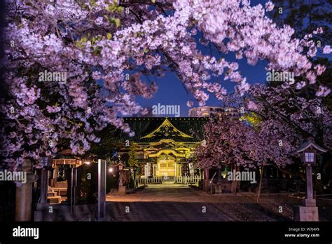 上野公園裡的夜色如夢似幻